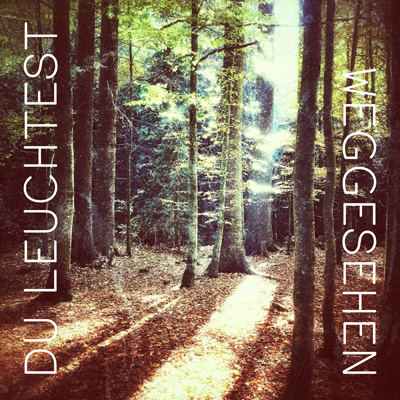 Diane Weigmann - Du leuchtest / Weggesehen