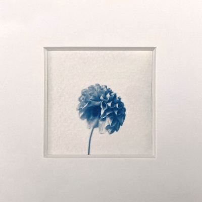 Linda Rum - Friede