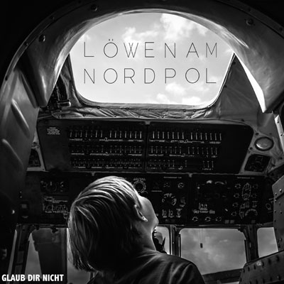 Löwen am Nordpol 