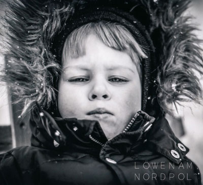 Löwen am Nordpol 