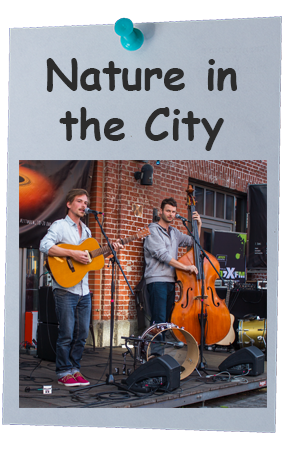 Nature in the City