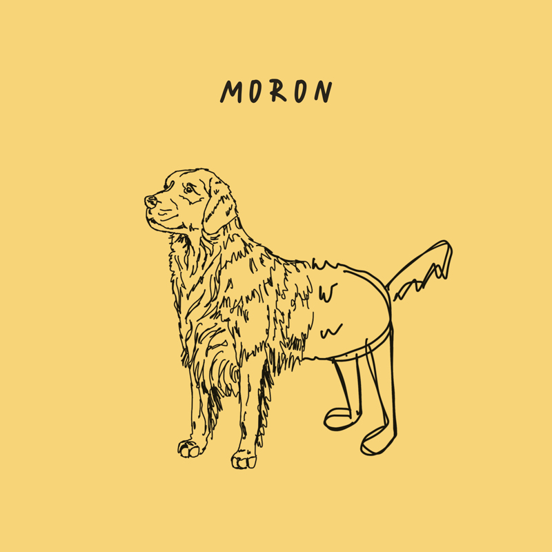 Please Madame - Moron Cover