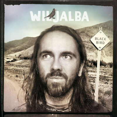 Wiljalba - Blackbird